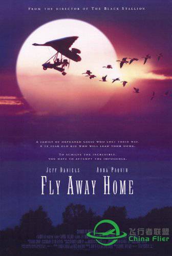 最美飞行电影 Fly Away Home/伴你高飞，自制飞机-2388 