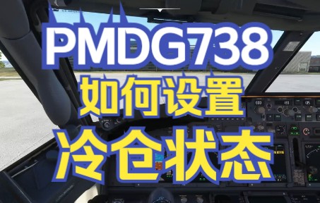 【飞行模拟2020】PMDG738如何设置冷仓状态？-3875 