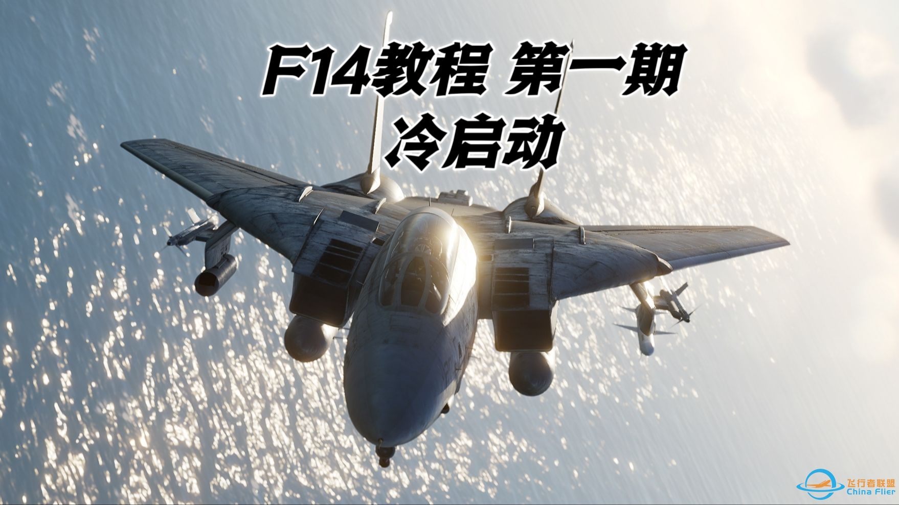 【DCS F14教程】第一期 前后座冷启动-829 